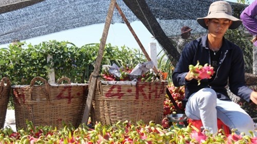 thuong lai Trung Quoc choi ban anh 3