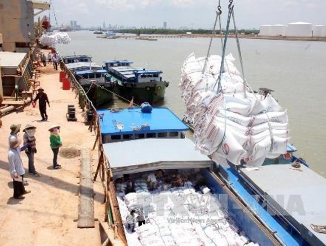 Vi sao nguoi Viet lai chon gao Campuchia? hinh anh