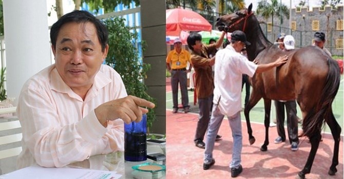 Ong Dung 'lo voi' rot rao mo truong dua ngua 100 trieu USD hinh anh