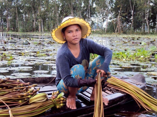 San vat dau mua nuoc noi gia rat cao hinh anh