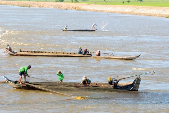 sản vật mùa nước nổi ảnh 2 san vat mua nuoc noi anh 2