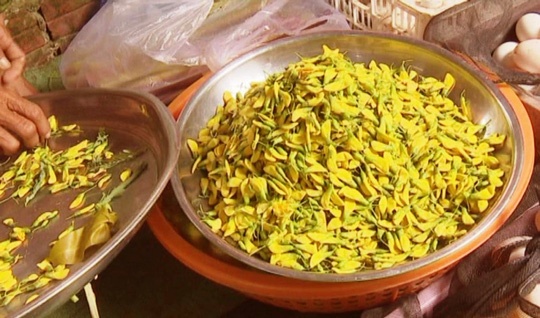 sản vật mùa nước nổi ảnh 3 san vat mua nuoc noi anh 3