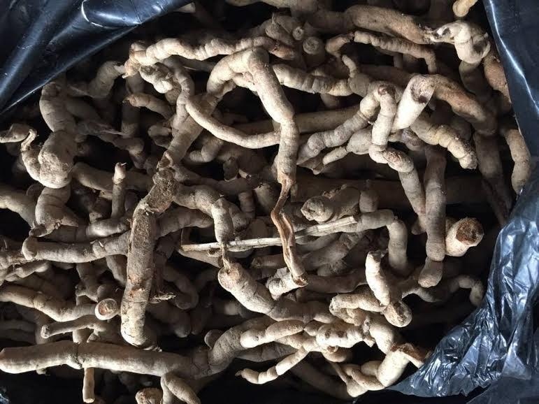 Gop 200 trieu mua ca ta ba kich ngam ruou uong 3 nam hinh anh