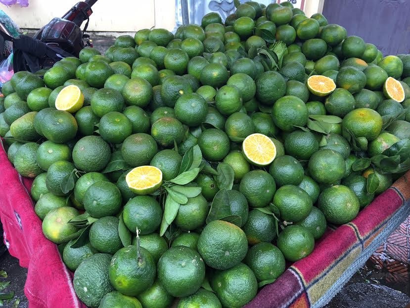 Cam Trung Quoc gia 20.000 dong mot kg ban tran Ha Noi hinh anh