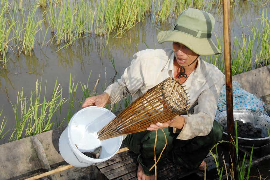 Mùa nước lũ ở miền Tây ảnh 3 Mua nuoc lu o mien Tay anh 3