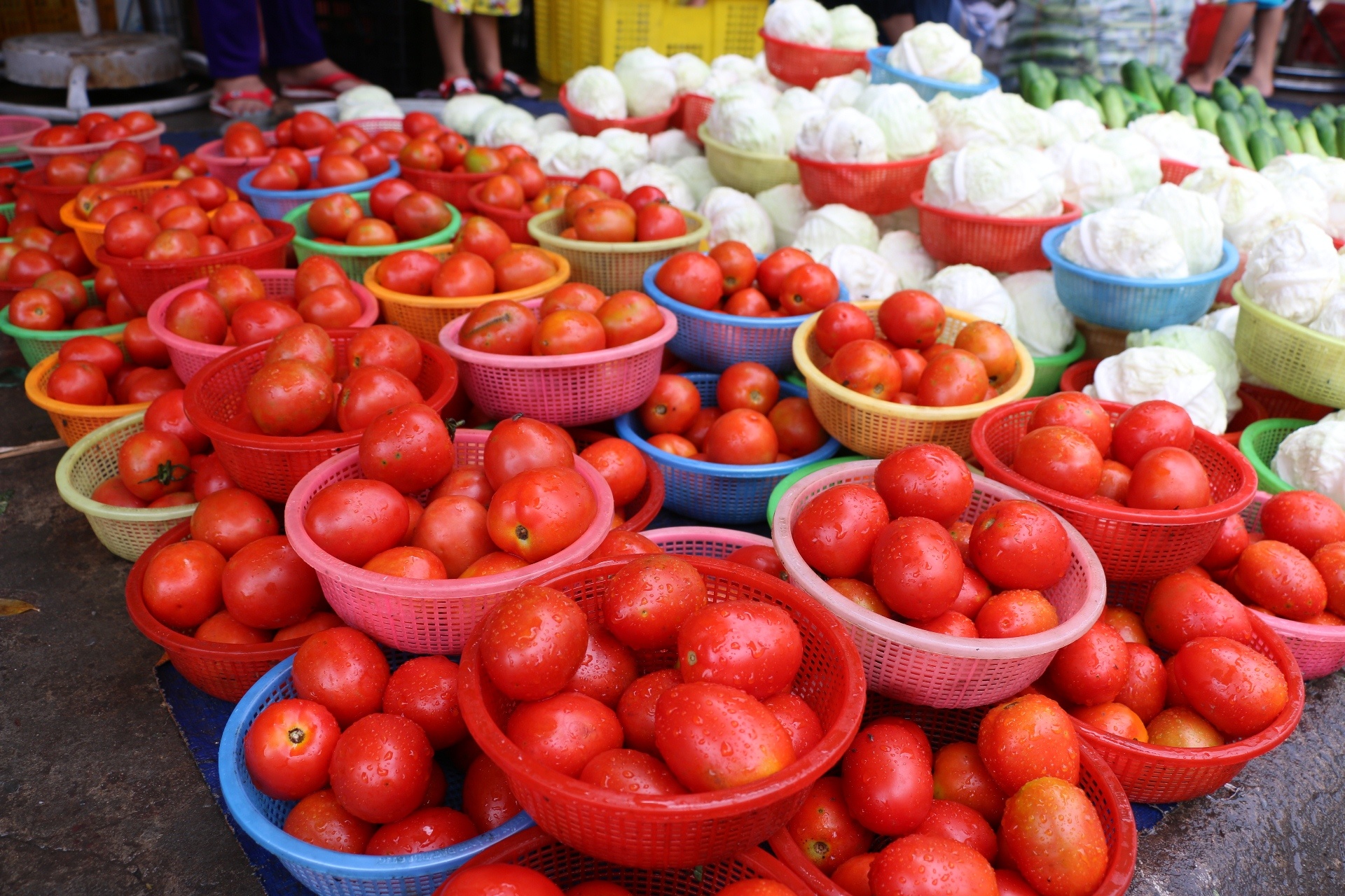 nhung cho re nhat Sai Gon anh 6