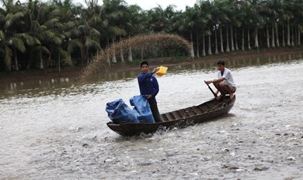 Bao dong tron hoa chat trong thuc an chan nuoi hinh anh