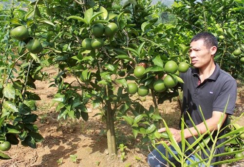 Nguoi thuan hoa cam Vinh song o dat doi hinh anh