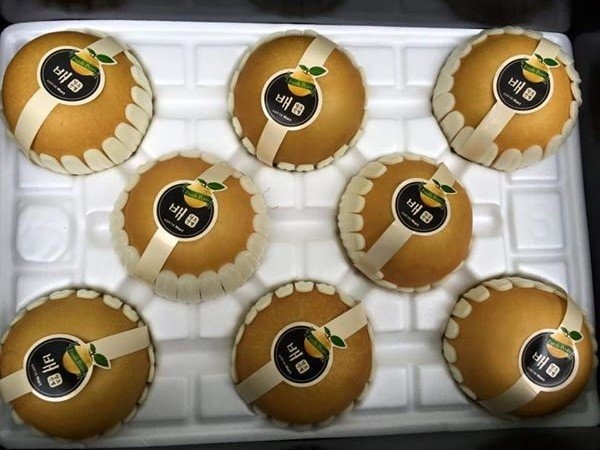 Mua le Han Quoc, nha giau Viet bi lua bang qua Trung Quoc hinh anh