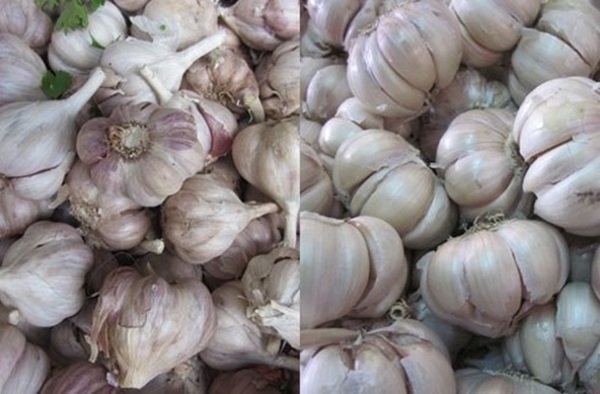 Bốn loại gia vị Trung Quốc dân Việt dùng hàng ngày ảnh 2 Bon loai gia vi Trung Quoc dan Viet dung hang ngay anh 2