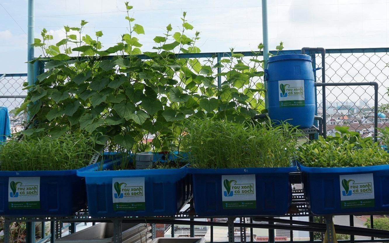 Thiet ke mo hinh lam thuc pham sach tai nha no ro o Sai Gon hinh anh