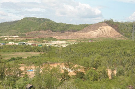 Toi Ly Son duoc trong o at o Khanh Hoa hinh anh