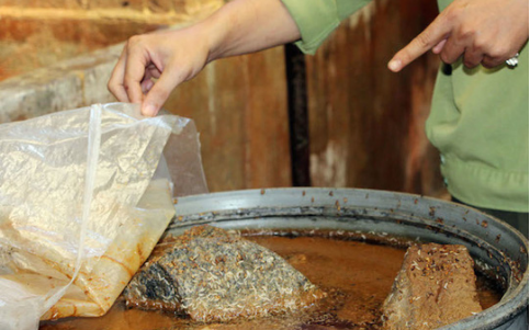 5.000 kg mam ca tra co doi bo luc nhuc o mien Tay hinh anh