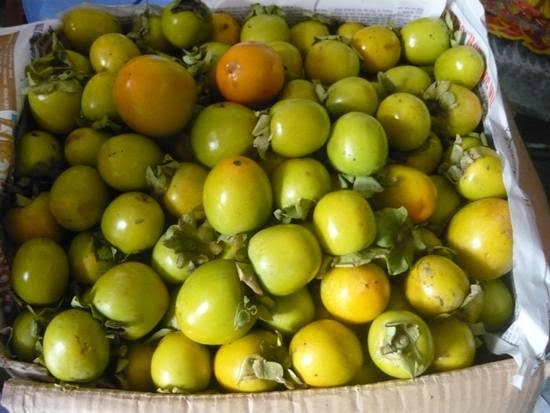 Dan cong so ban hong gion kiem 3 trieu dong moi ngay hinh anh