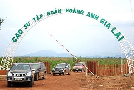 Bầu Đức bán 22.000 ha cao su ảnh 1 Bau Duc ban 22.000 ha cao su anh 1