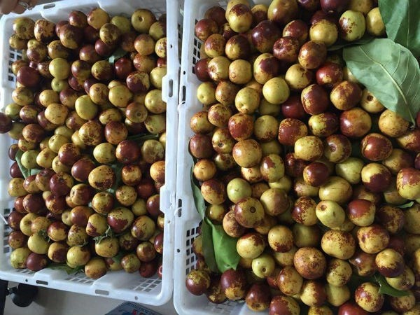 Sot tao Trung Quoc chua dau dau, muon mua phai dat truoc hinh anh