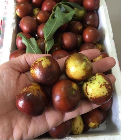 Tao Trung Quoc chua dau dau chay hang anh 2