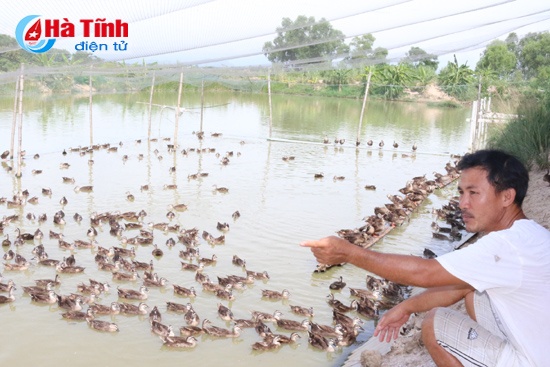 Nuoi vit troi, thu tien ty hinh anh