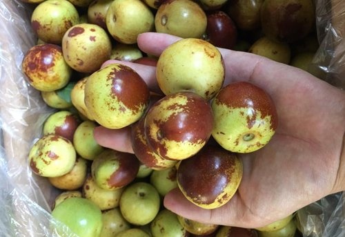 5 loại trái cây Trung Quốc tiêu thụ mạnh ảnh 1 5 loai trai cay Trung Quoc tieu thu manh anh 1