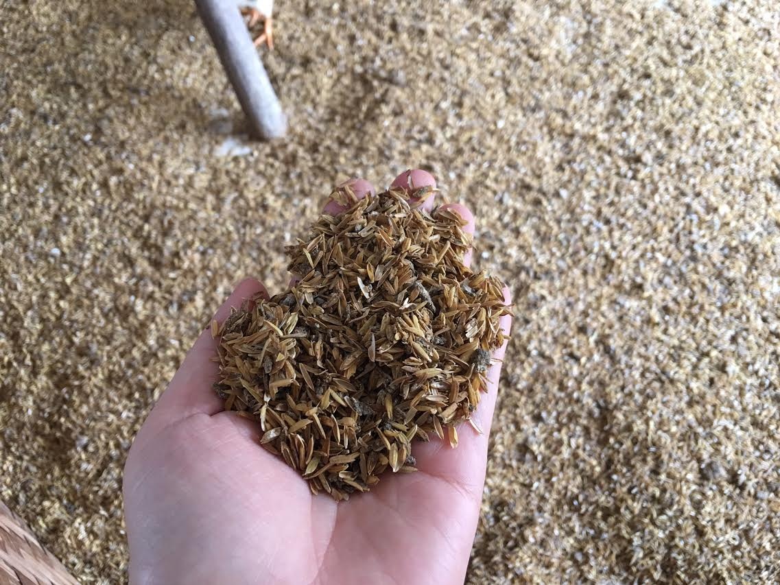 Bí ẩn nuôi gà không mùi, thu lãi tiền tỷ ảnh 2 Bi an nuoi ga khong mui, thu lai tien ty anh 2