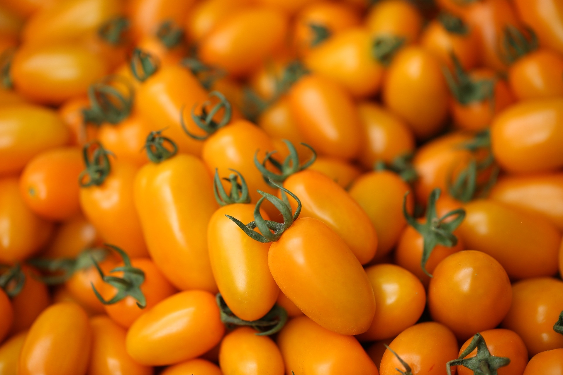 trong ca bang sua va trung ga thu hon tram trieu anh 2