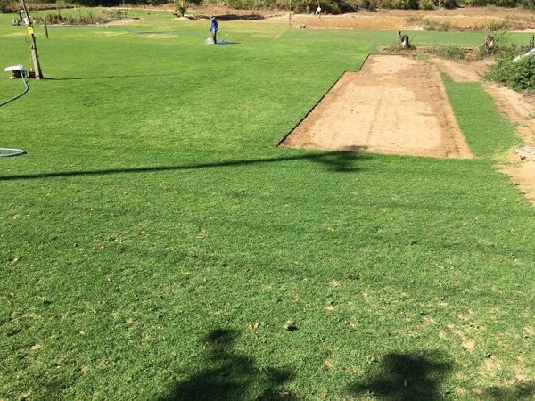 Mảnh ruộng trồng cỏ nhà giàu: Mỗi năm 500 triệu ảnh 2 Manh ruong trong co nha giau: Moi nam 500 trieu anh 2