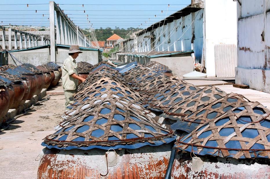 Nuoc mam Phan Thiet anh 8