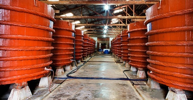 'Chung toi da nghien cuu day du dau ma ung ho Vinastas' hinh anh