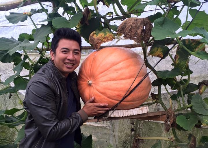 Bí ngô khổng lồ 5 triệu một quả tranh nhau mua ảnh 2 Bi ngo khong lo 5 trieu mot qua tranh nhau mua anh 2
