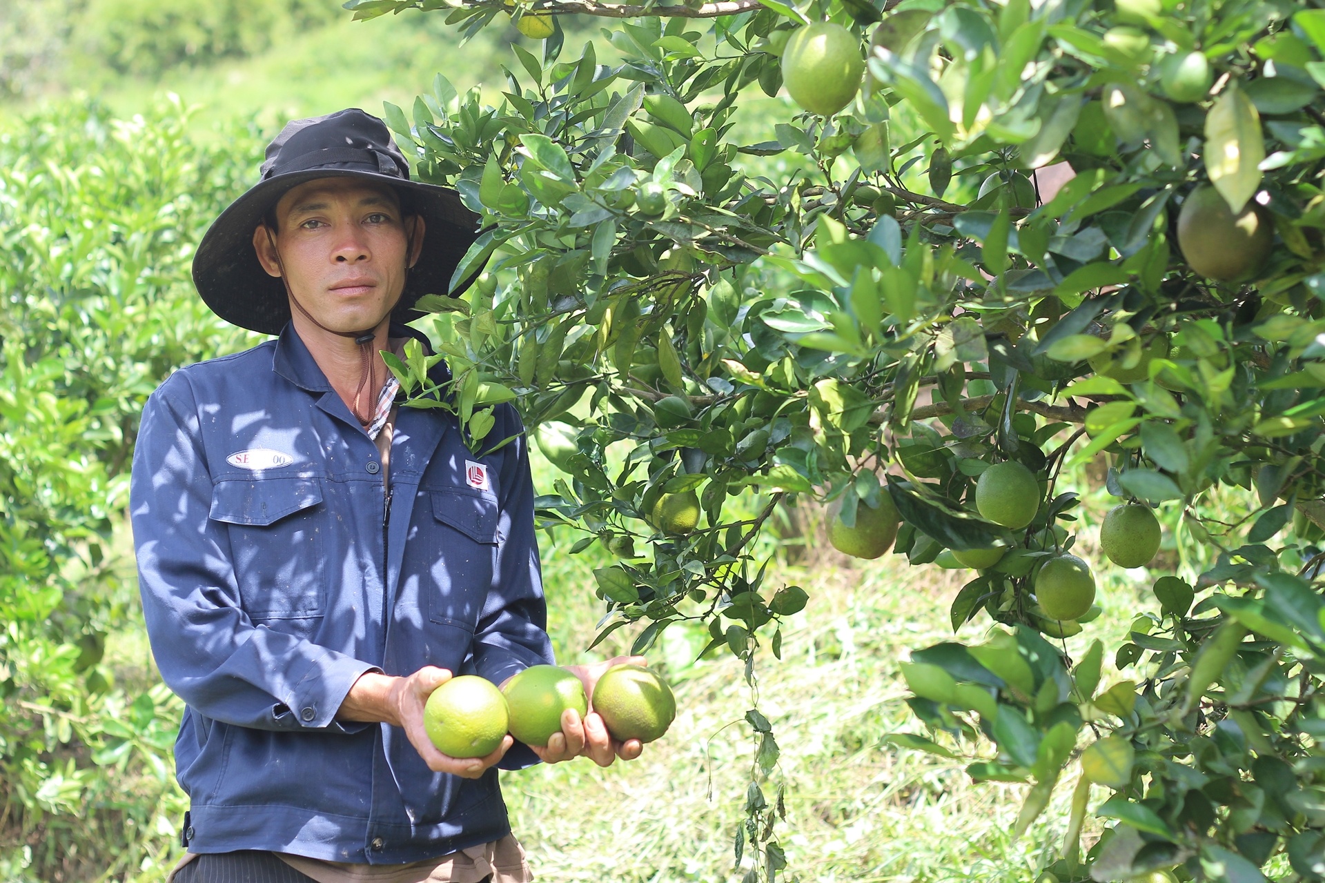 cam ruot do trong khong du ban anh 2