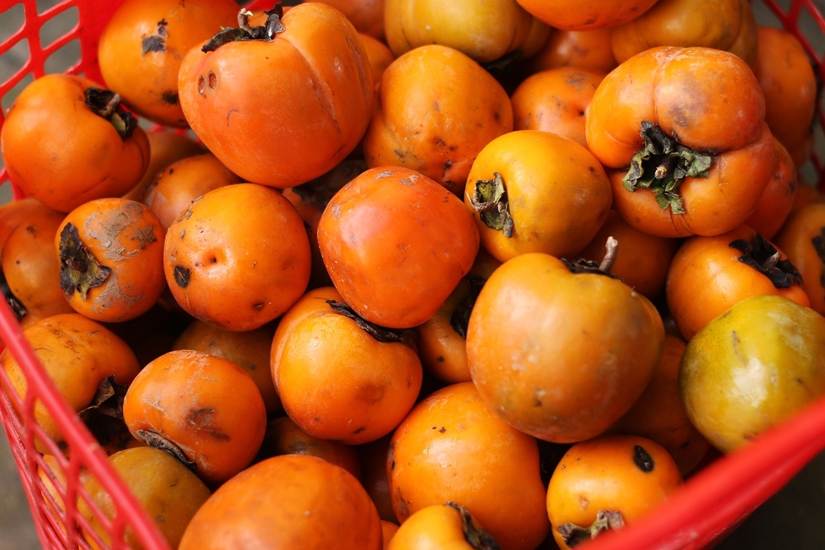 hong Da Lat mat mua the tham anh 10