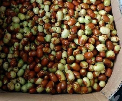 Tao tau Han Quoc xach tay, 720.000 dong mot kg van chay hang hinh anh