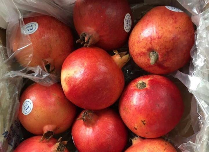 Lựu khổng lồ gần nửa triệu một kg ảnh 1 Luu khong lo gan nua trieu mot kg anh 1