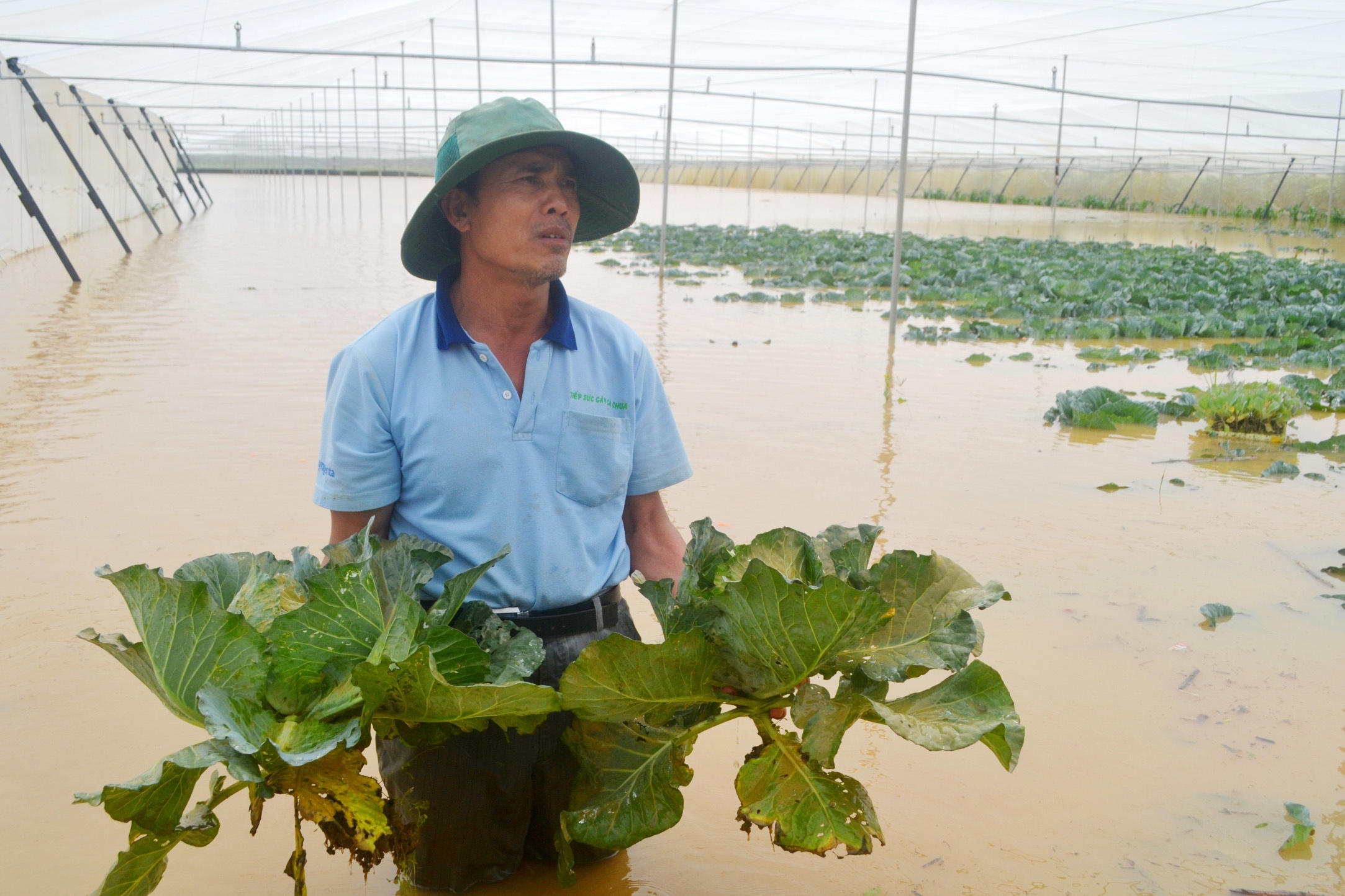 Vung rau lon nhat nuoc thiet hai nang ne vi xa lu anh 1