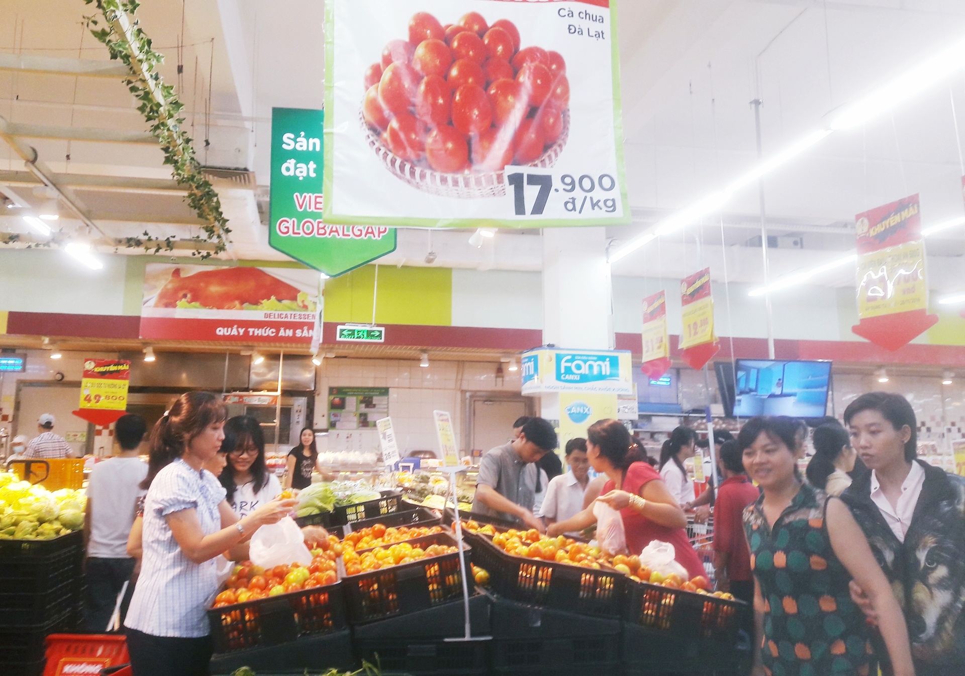 Sieu thi ban ca chua re hon gia mua tai vuon anh 1