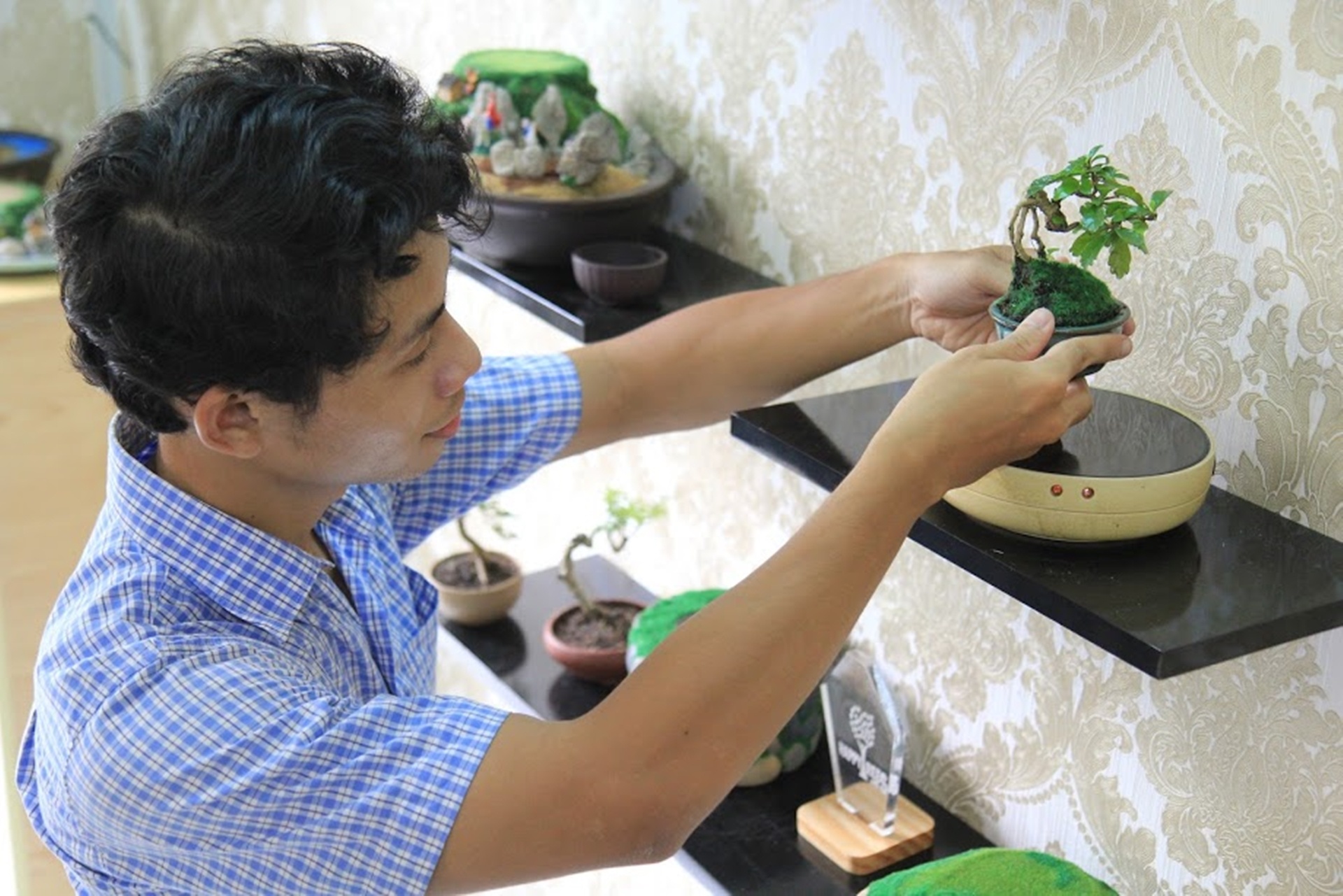bonsai bay lo lung hut khach Sai Gon anh 2
