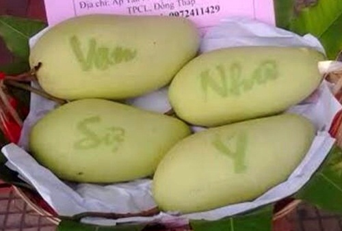 Trai cay trung Tet khan hang o mien Tay anh 3