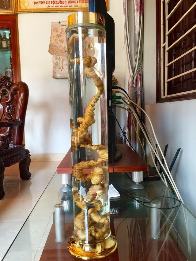 Dinh sat gia chuc trieu trong cu sam quy anh 2