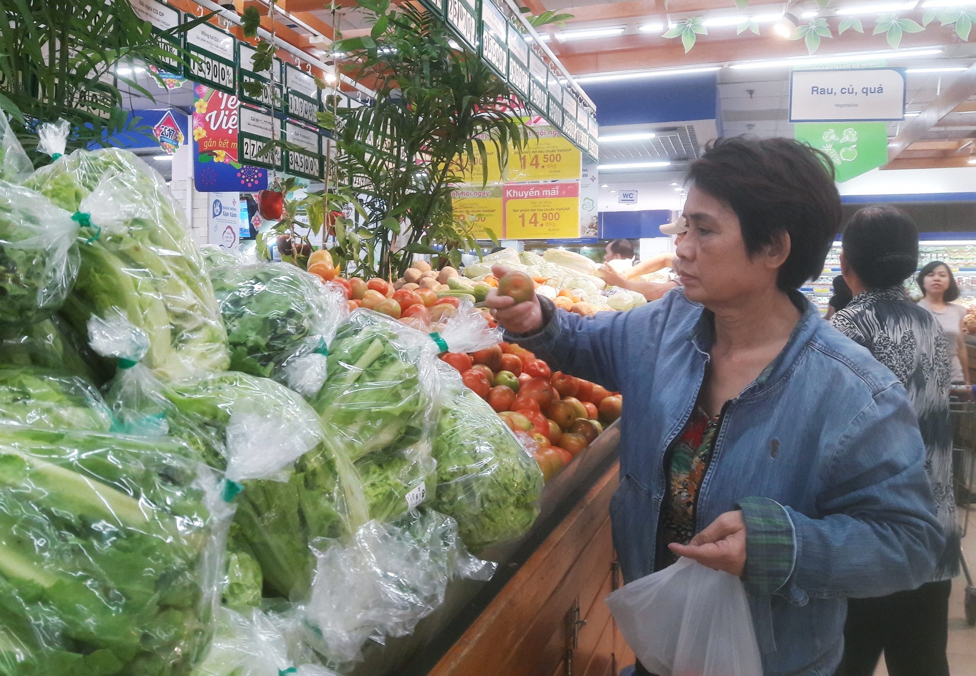 hơn 400 nghìn một kg atiso, chợ không dám bán ảnh 2 hon 400 nghin mot kg atiso, cho khong dam ban anh 2