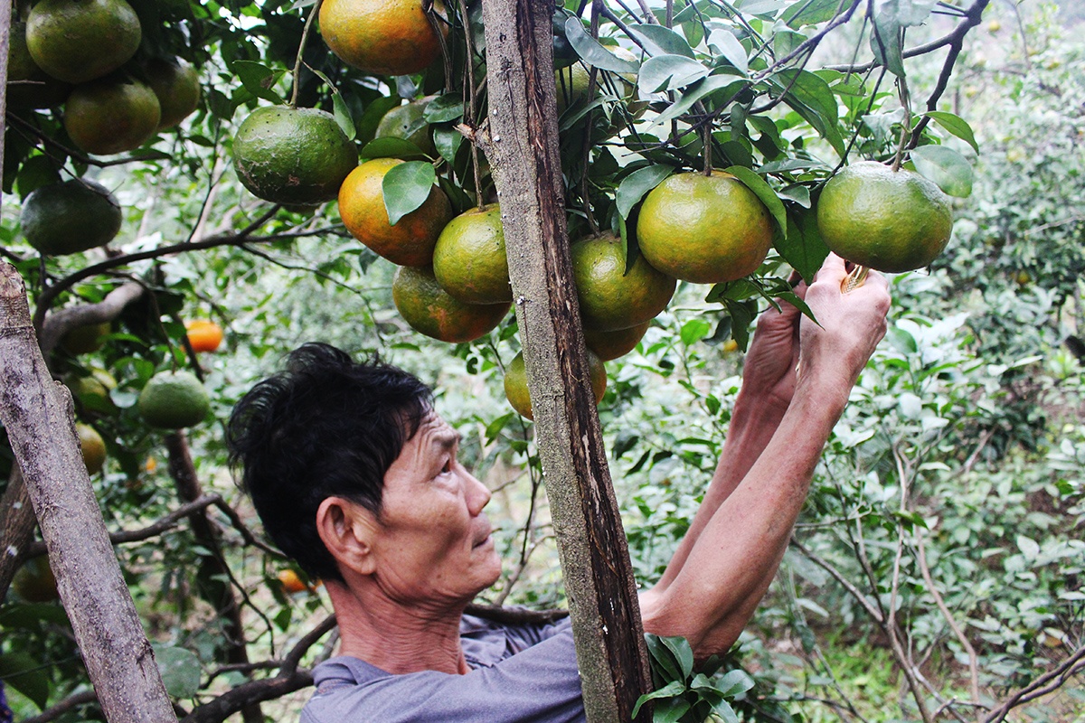 Nguoi trong cam sung suong vi trung mua anh 2