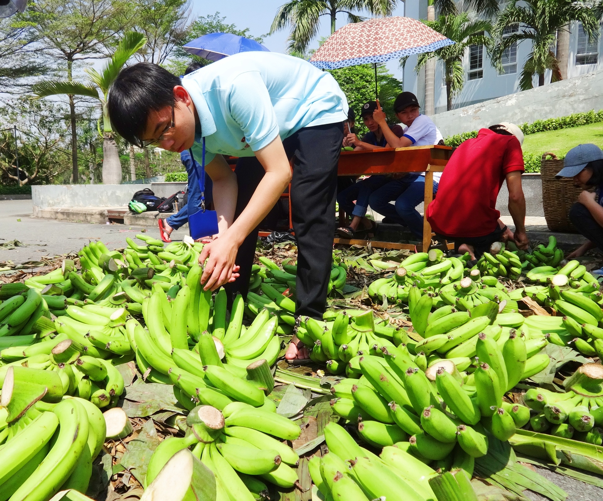 Chen nhau mua chuoi 'giai cuu' gia 5.900 dong mot kg hinh anh