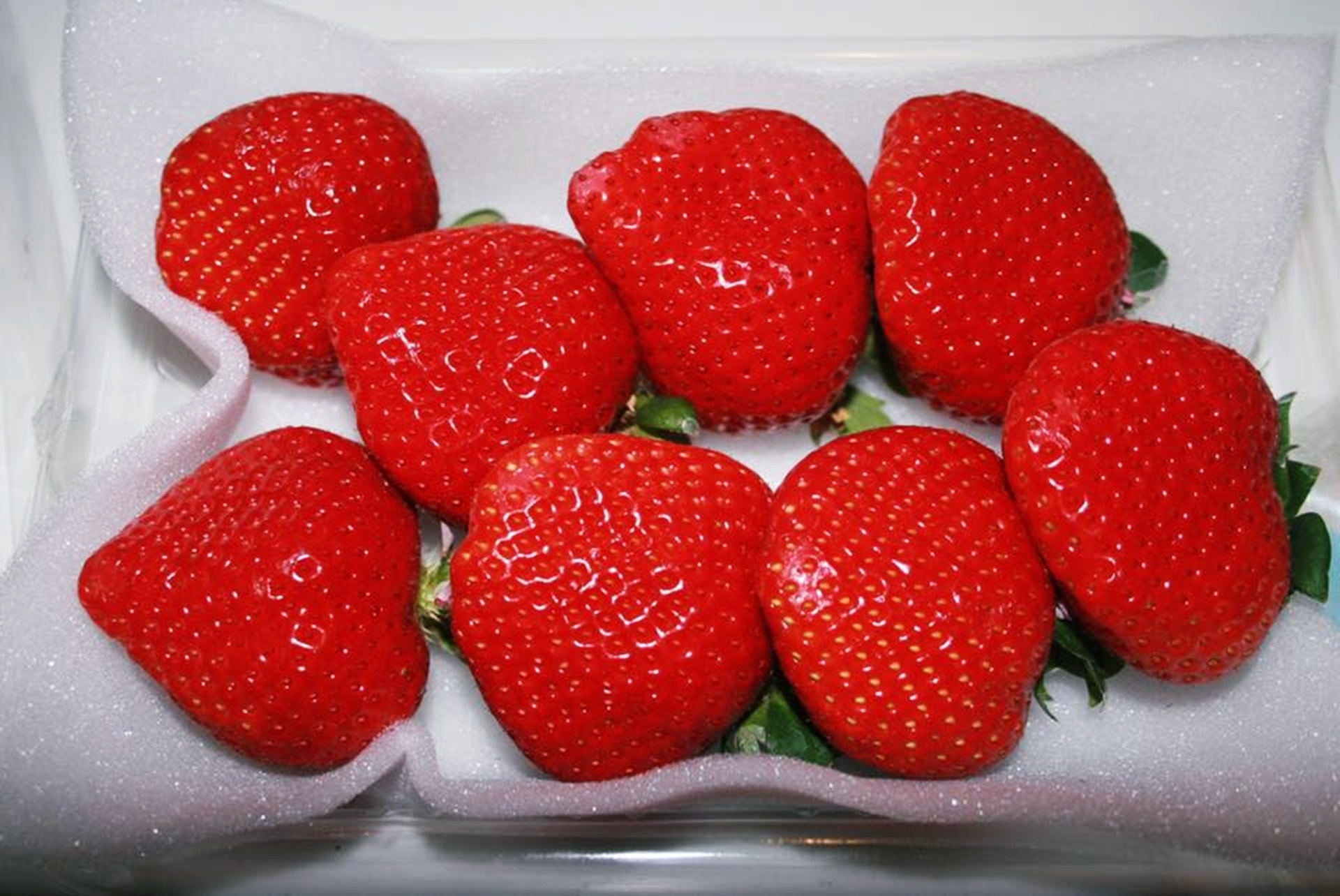 Gan 700.000 dong/kg dau Nhat trong tai Viet Nam hinh anh