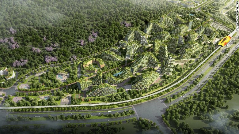 thanh pho rung anh 6