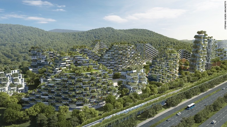 thanh pho rung anh 11