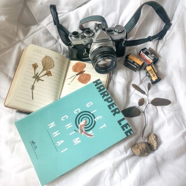 Giet con chim nhai anh 1