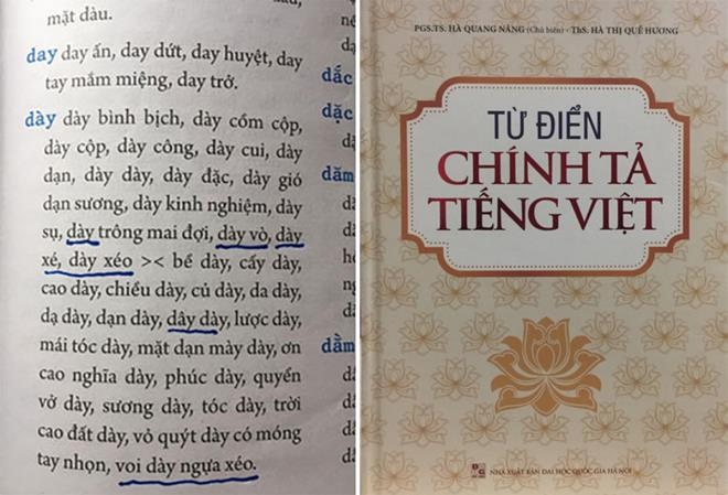 Tu dien chinh ta viet sai do chua co quy dinh hay cau tha? hinh anh