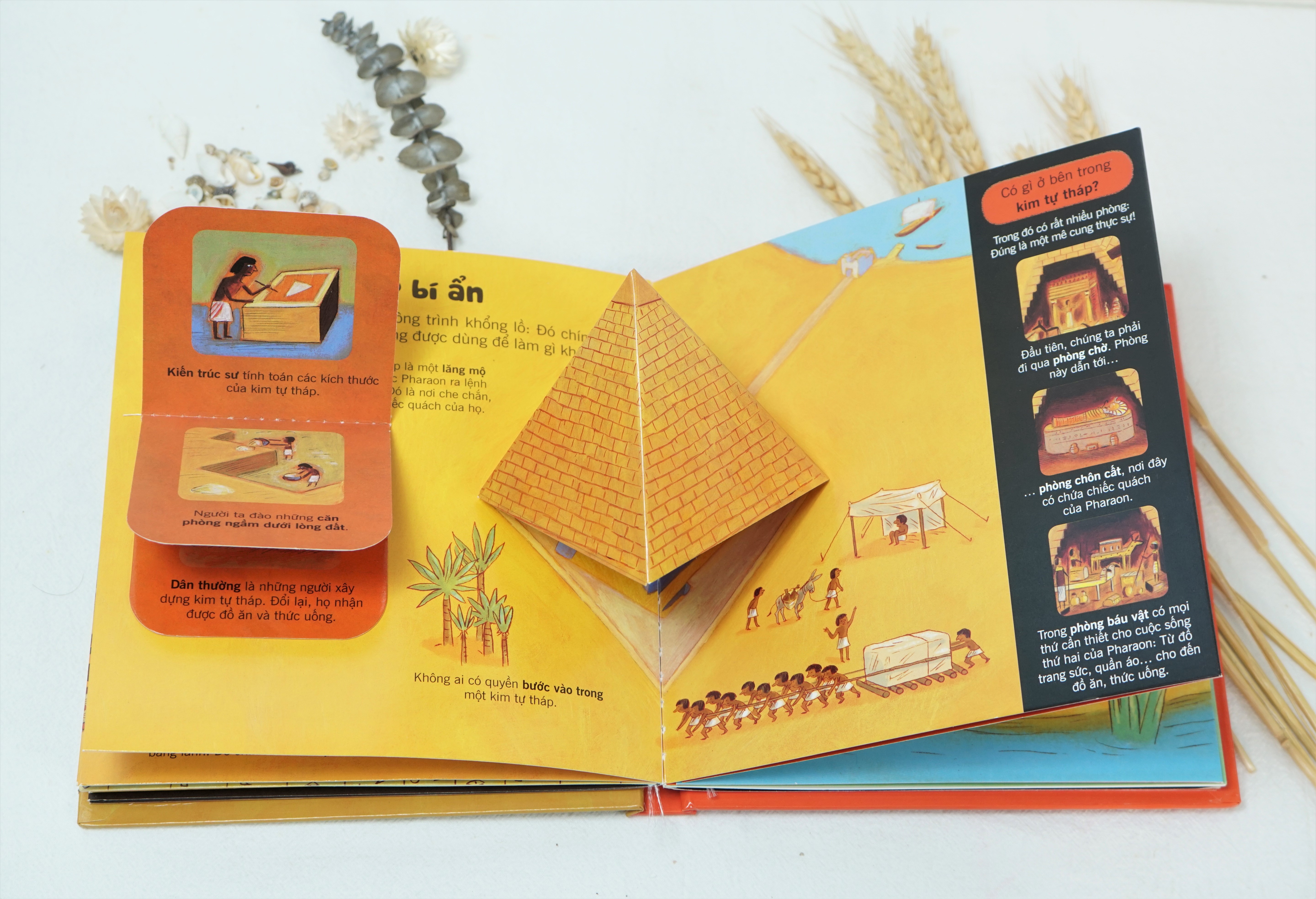 Ra mat bo sach bach khoa tri thuc cho tre em hinh anh