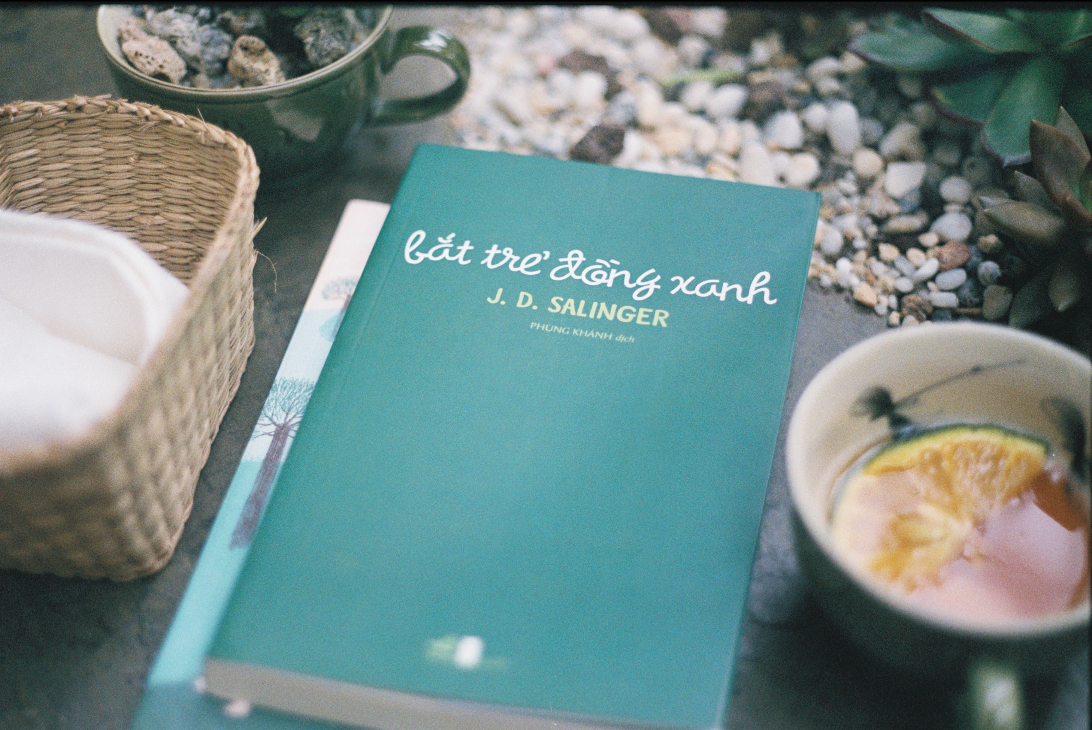 sach gay tranh cai anh 5