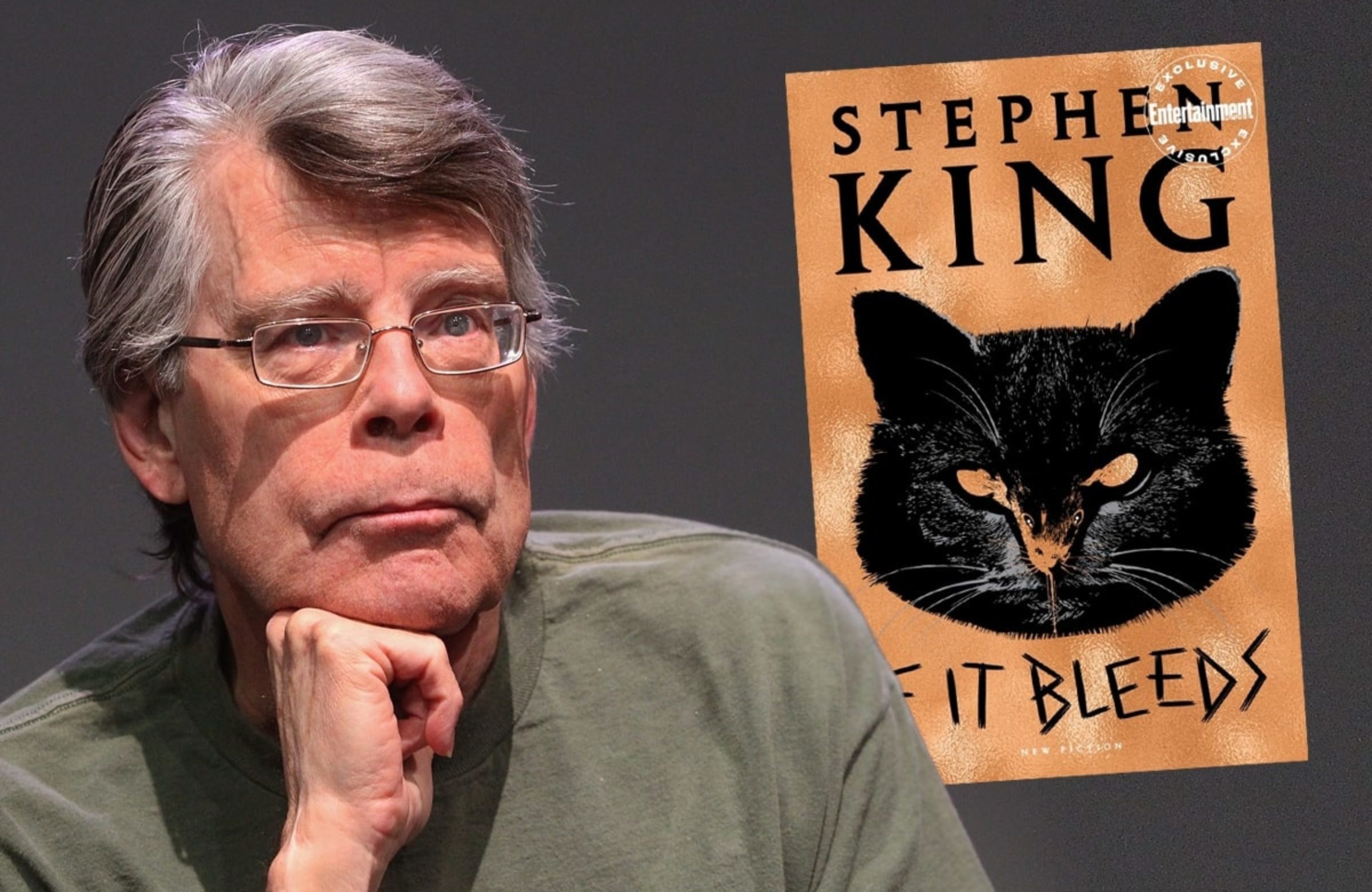 stephen king anh 1