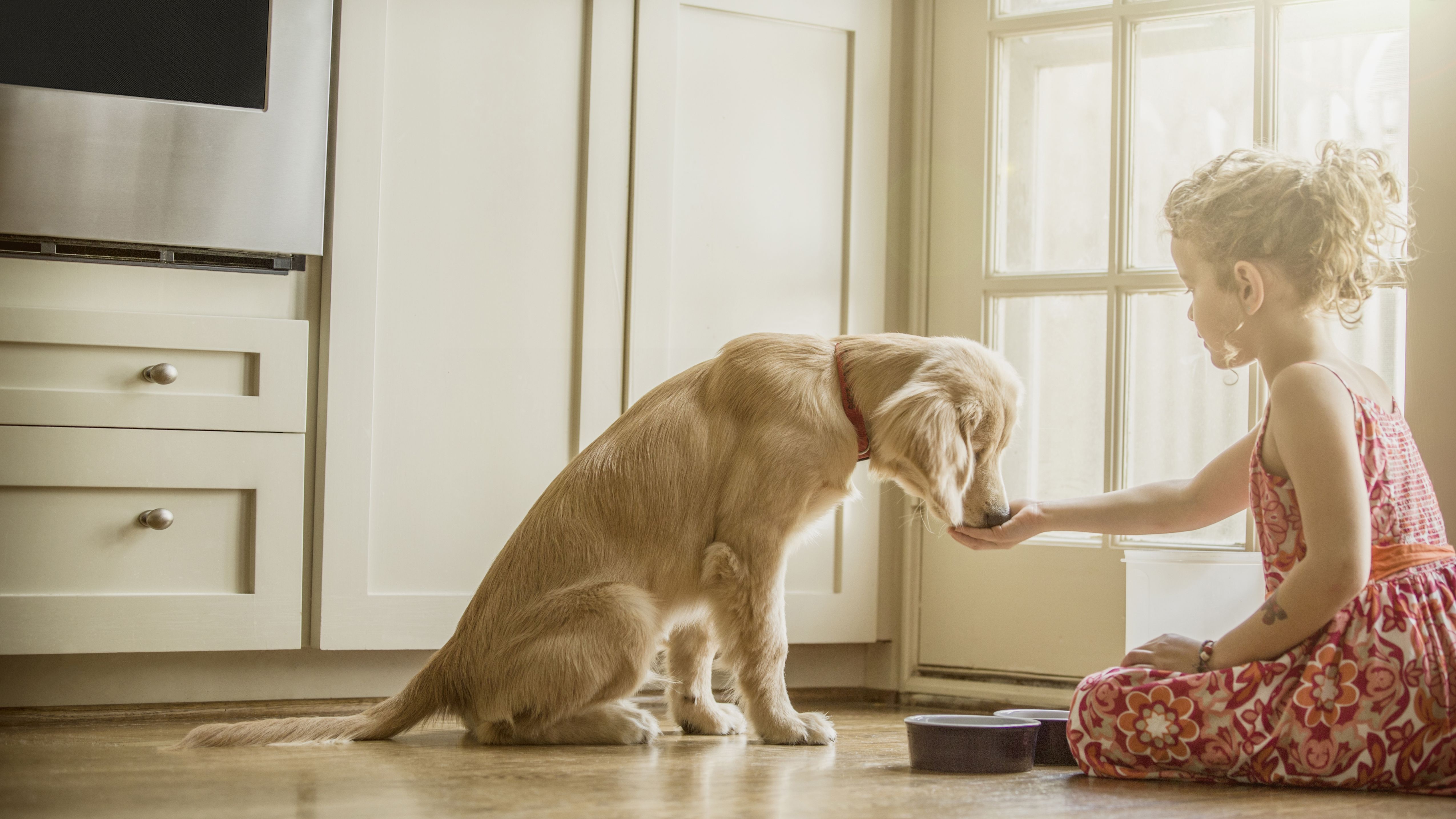 Ban chut cung tot hinh anh